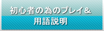 初心者の為のプレイ&用語集